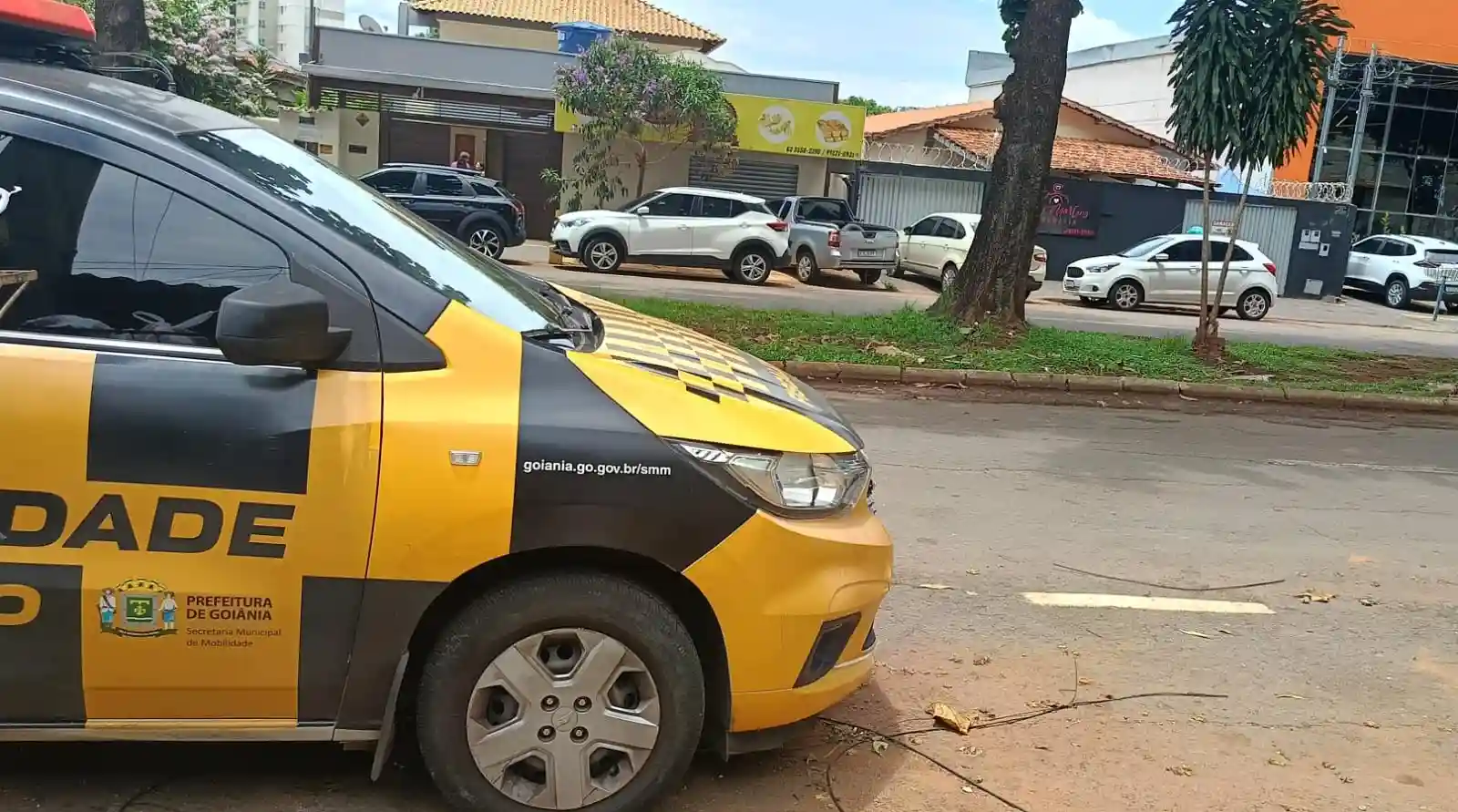 Goiânia divulga balanço da Operação Calçada Segura